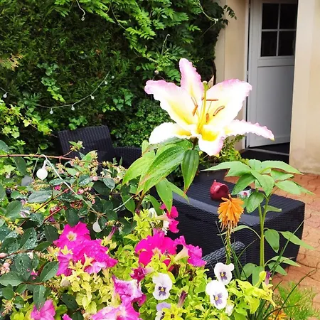 Bed & Breakfast D'hotes Le Clos Du Verger Cattenom