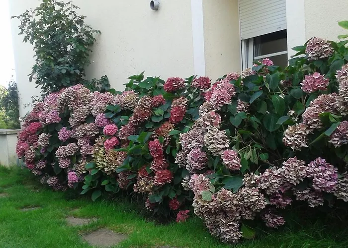 D'hôtes Le Clos Du Verger 3*