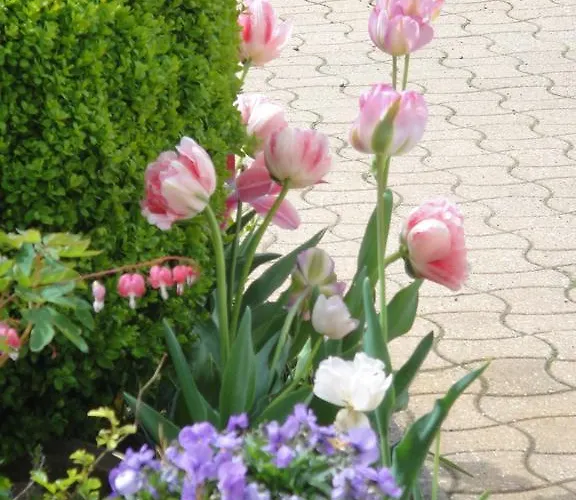 D'hôtes Le Clos Du Verger