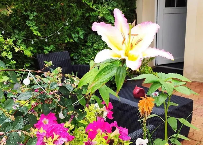 Couette-café D'hôtes Le Clos Du Verger Cattenom